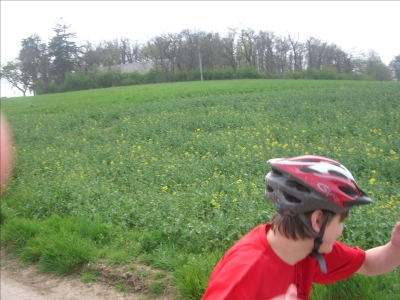 Bilder Vom Lauf